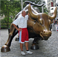 Bronze Bull Statue