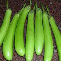 Fresh Bottle Gourd