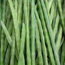 Fresh drumsticks, Packaging Type - Carton