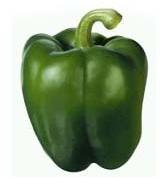 Fresh Capsicum, Usage/Application : Cooking