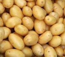 Fresh potato, Packaging Size : 5-25kg