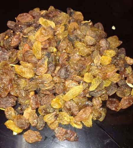 Golden Raisin