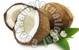 Fresh coconut, Grade : A Grade