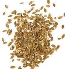 Dill Seeds