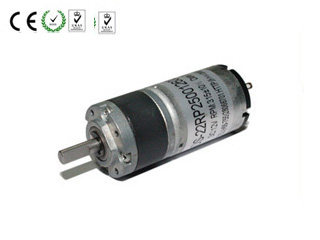 DC Planetary Gear Motor (DS-22RP250) 4mm