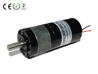 DC Brushless Gear Motor (DS-36RPBL3650) 8mm
