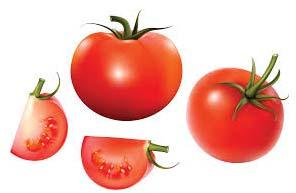 Fresh tomato, Shelf Life : 3-5 Days