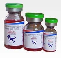 Rabivac Vet Vaccine