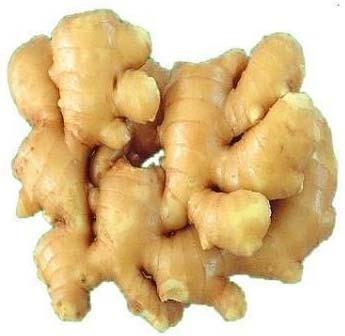 Fresh ginger, High In Gingerol