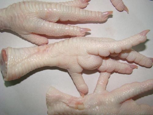 Grade A Halal Frozen Chicken Feet