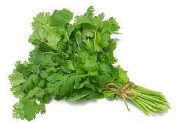 Coriander