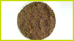 Neem Cake Fertilizer