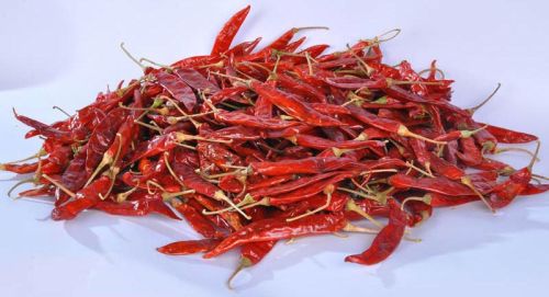 Dried Red Chillies