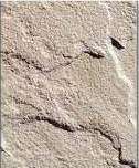 Rectangular Polished Beige SandStone, For Bath, Roofing, Size : 12x12Inch, 24x24Inch, 36x36Inch