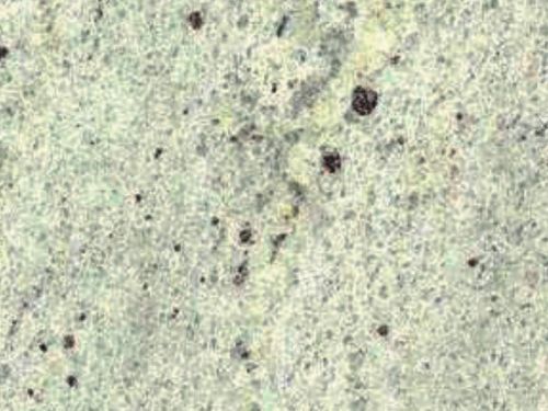 Polish Kashmiri White Granite Stone, For Bath, Flooring, Kitchen, Roofing, Size : 12x12Inch, 24x24Inch