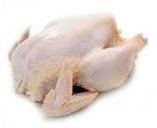 Frozen Whole Chicken, Storage Condition : Frozen