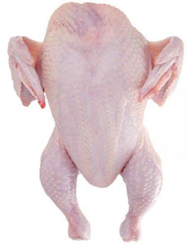 Frozen Whole Chicken, Shelf Life : 6-12 Months