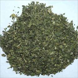 Dried Coriander Leaves