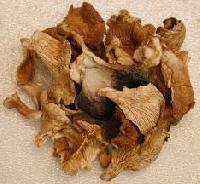 Dehydrated Oyster Mushrooms, Form : Whole for Cooking, Restaurant