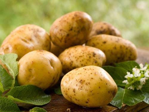 Fresh potato, Quality Available : A Grade