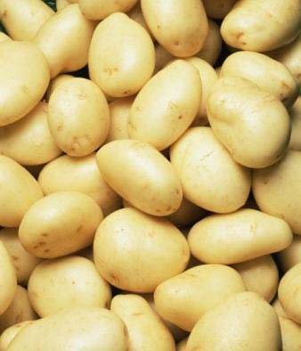 Fresh potato, Country of Origin : India