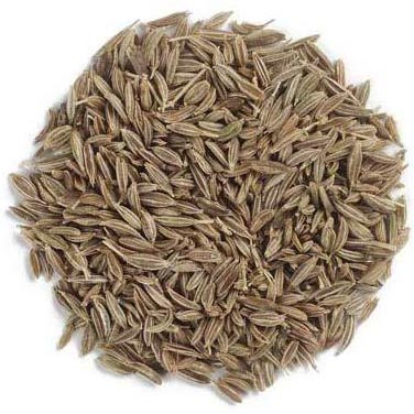 Cumin seeds, Moisture : 9%