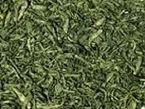 Green Tea Leaves