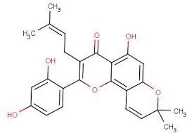 Testosterone Isocaproate