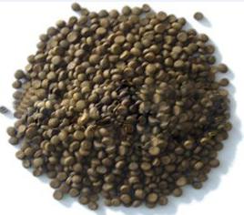 Fish Feed- Tropical Fish Feed