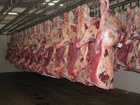 New Zealand Lamb For Sale