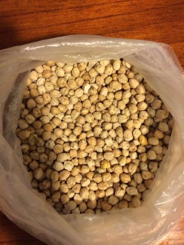 Chickpeas 7 MM, Brand Name : NFSD-454