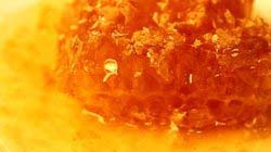 Pure honey Form : Liquid