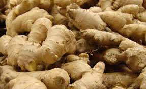 Ginger extract