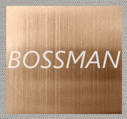 Champagne Color Brushed Stainless Steel Plate