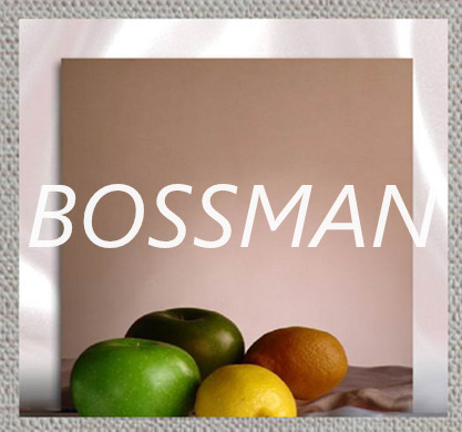 Rose Gold Mirror Surface SS Plate