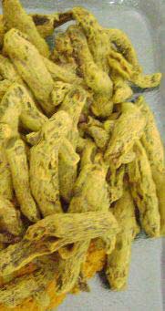 Turmeric Finger