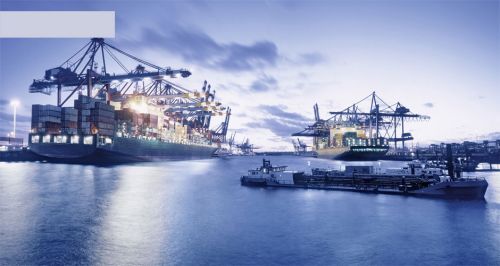 Project Cargo Services