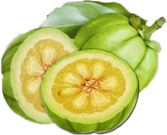 Garcinia cambogia