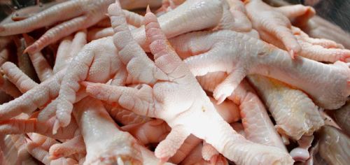 Chicken Feet, Shelf Life : 10-15 Days