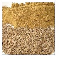 Indian Spices, Usage/Application : Cooking, Seasoning,Natural Colorant