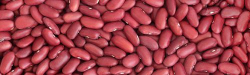 Red Kidney Beans