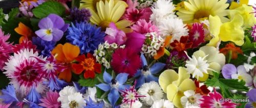 Fresh flowers, Storage Condition : Fresh