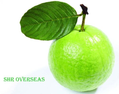 Fresh guava, Usage/Application : Human Consumption