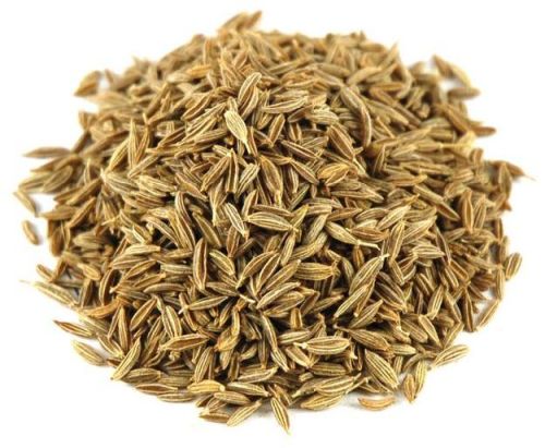 Cumin Seeds, Color : 100% Natural