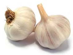 Fresh Garlic