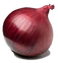 Fresh Red Onion