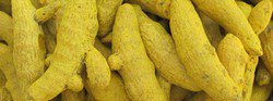 Turmeric finger, Packaging Type : Yellow