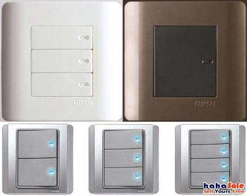 Schneider Domestic Switches