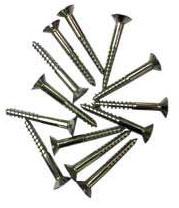 SS Polished Wood Screws