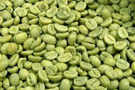 Green Coffee Beans, Packaging Type : Packet, Bag